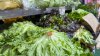 Cyclospora in Illinois: Latest numbers as cases rise during multi-state outbreak
