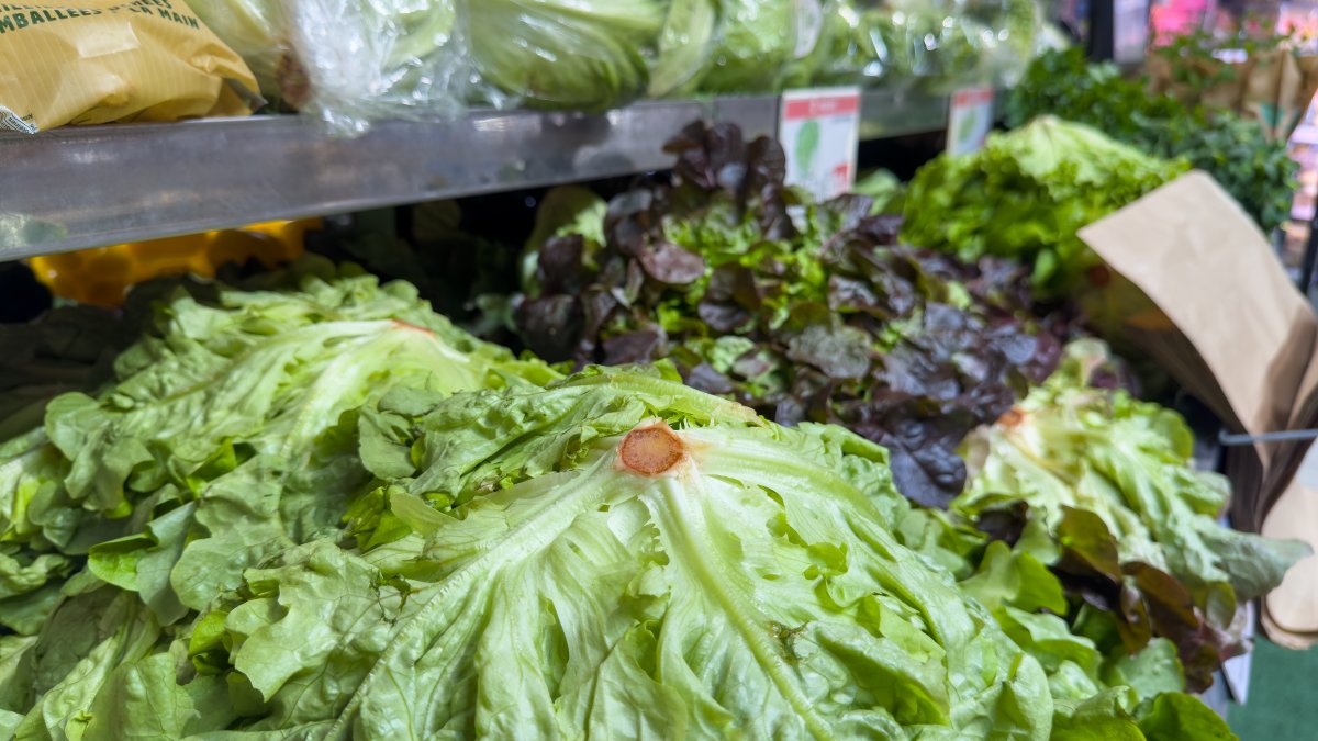 Cyclospora in Illinois: Latest numbers as cases rise during multi-state outbreak