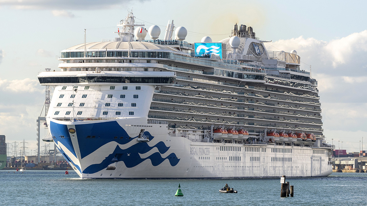 Worker dies after going overboard from Princess cruise ship