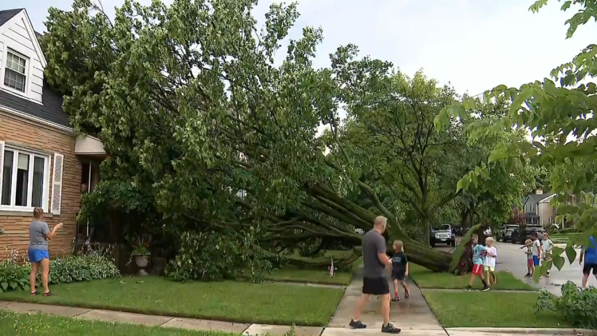 Storms down trees, leave thousands without power amid holiday celebrations in Chicago area