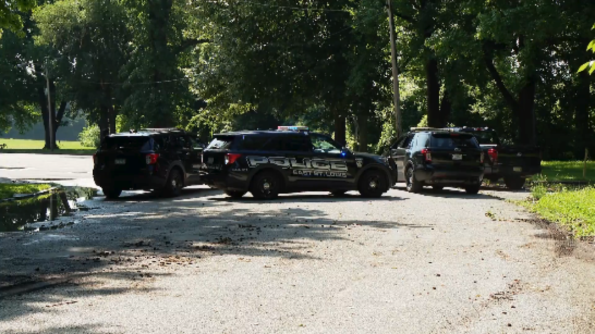 5 killed, 2 injured in targeted family shooting in southern Illinois