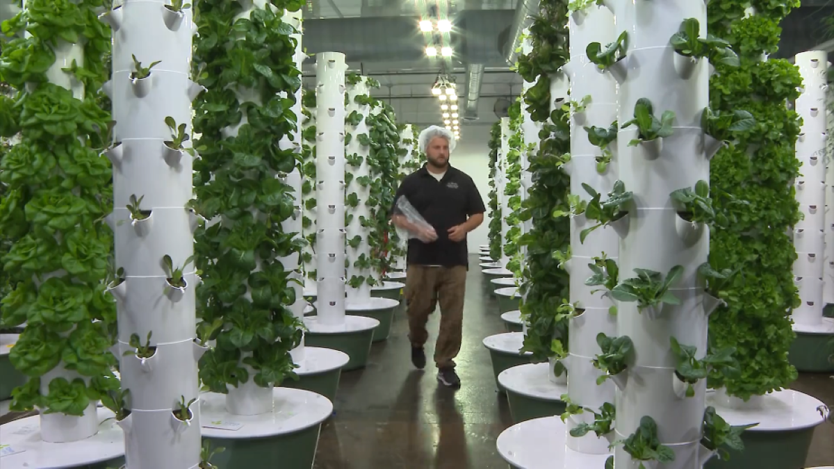 Chicagoland farmer sees more demand for fresh produce amid parasite outbreak