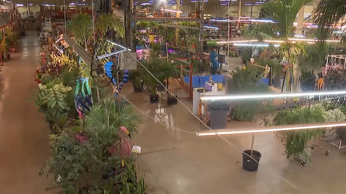 Jungle of Niles announces new location in nearby suburb after desperate search