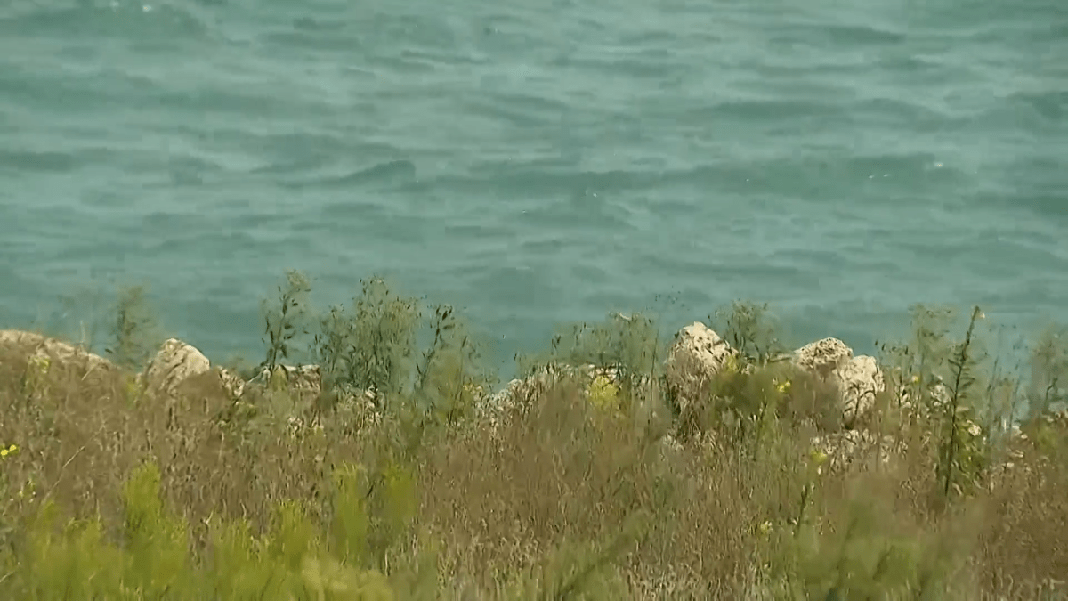 Woman dies after being pulled from Lake Michigan: Chicago police Woman dies after being pulled from Lake Michigan: Chicago police