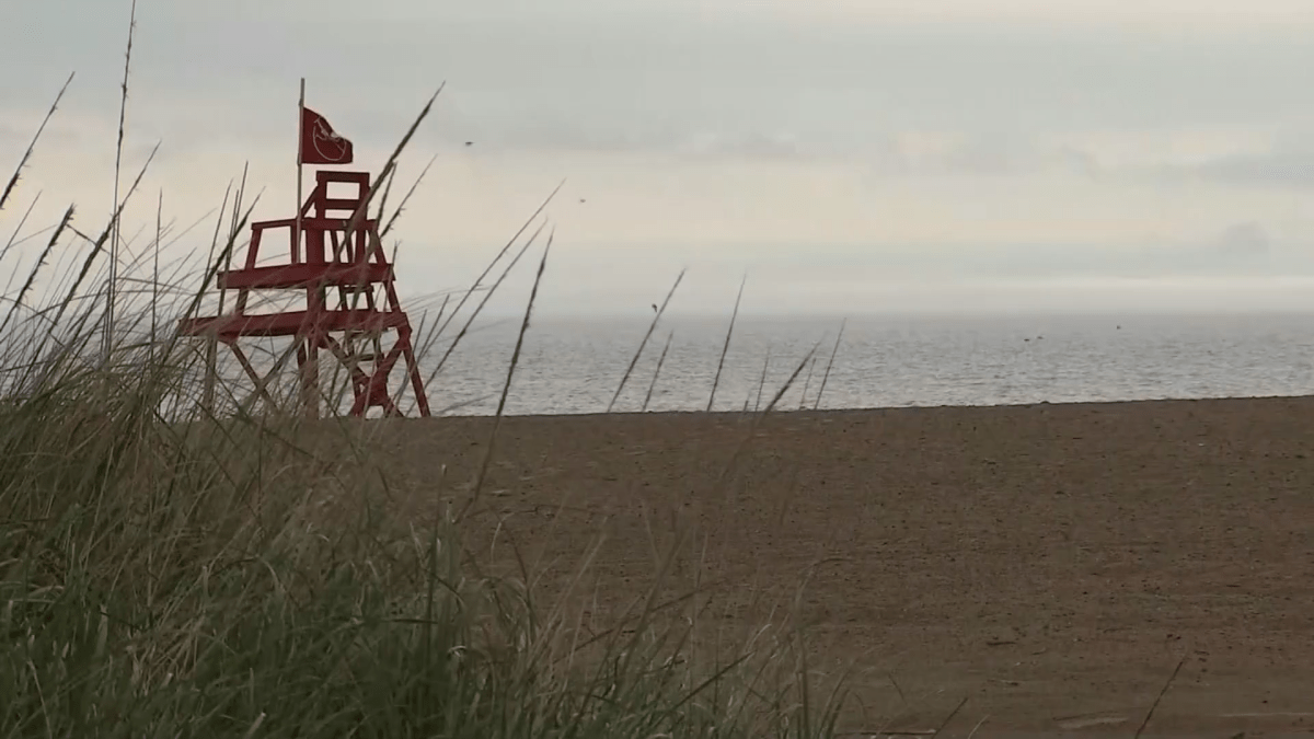 Swimming not advised: Elevated E. coli levels at 3 NW Indiana beaches prompts warning