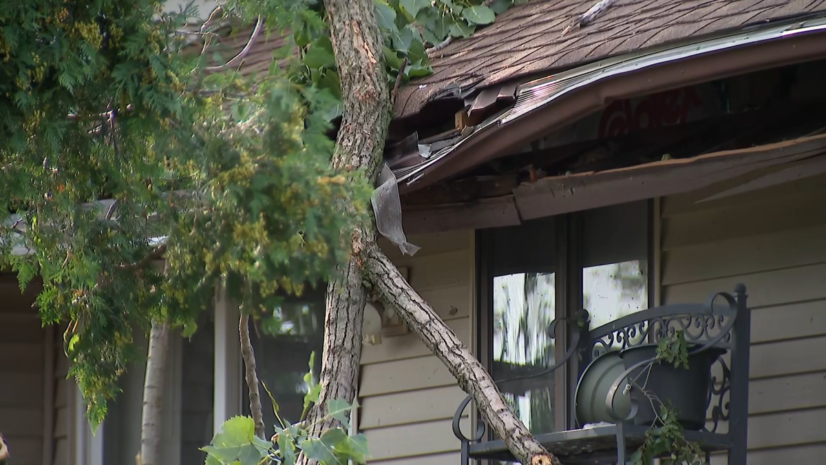 &lsquo;Very scary: Violent storms damage homes, uproot trees in south suburbs