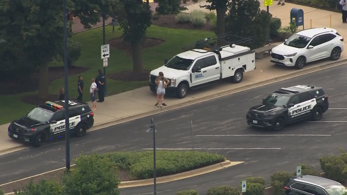 Delays expected on Metra MD-W train line after person survives being struck
