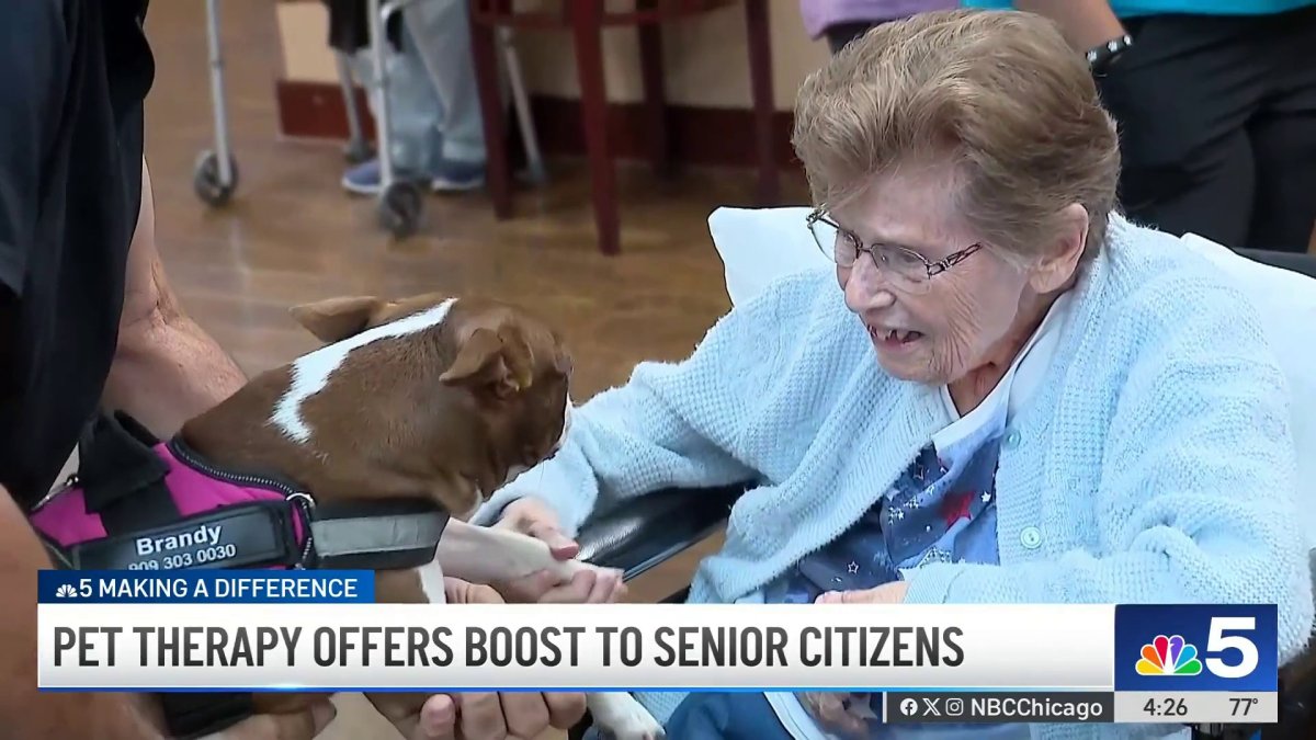 Senior citizens bond with dogs as part of innovative therapy program