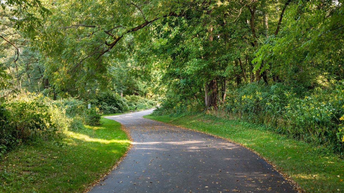 Elmhurst police issue alert after sexual battery reported on popular running trail Elmhurst police issue alert after sexual battery reported on popular running trail