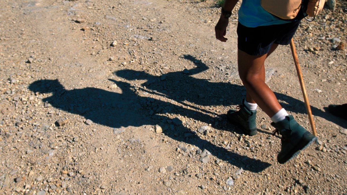Group of students from Illinois, Indiana rescued after hike gone wrong