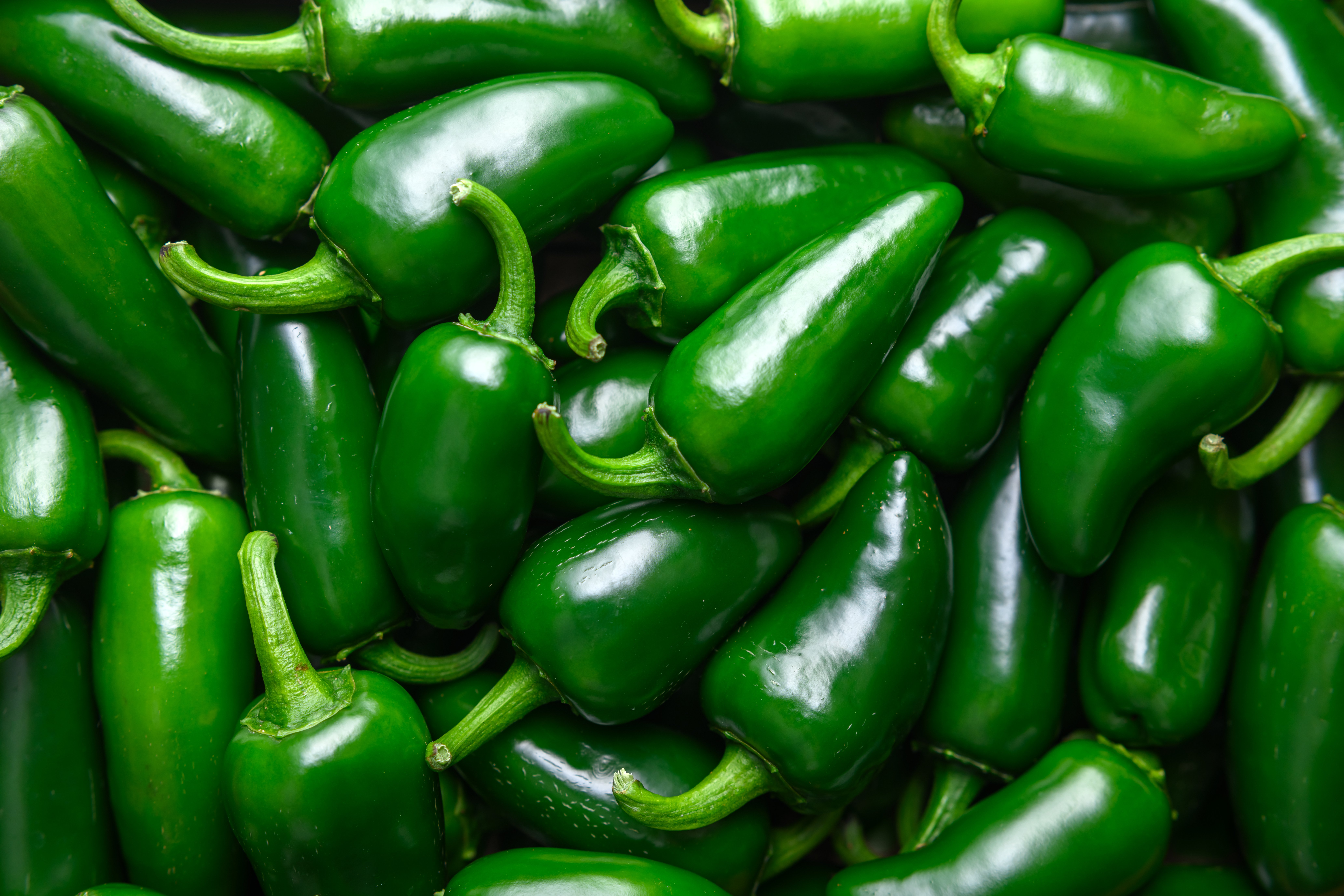 Taylor Farms recalls more than a dozen products amid salmonella outbreak. Full list