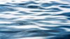 Mom dies saving son from water near popular suburban forest preserve