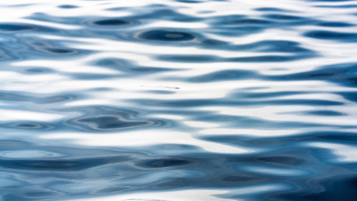 Mom dies saving son from water near popular suburban forest preserve Mom dies saving son from water near popular suburban forest preserve