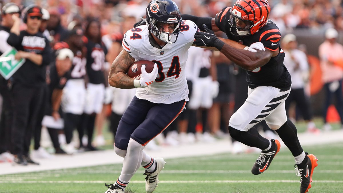 Josh Johnson leads Bengals over Bears in preseason tilt