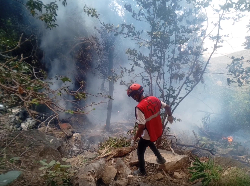 GM of Telemundo stations in Florida among 5 Americans killed in Kenya helicopter crash