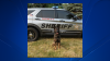 Lake County deputy left K-9 alone in field more than 20 minutes, investigation finds