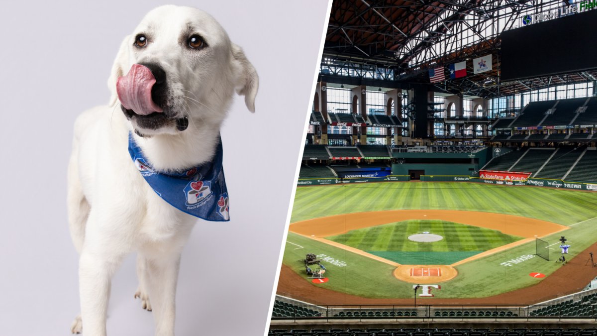 Texas Rangers host 10 shelter dogs at Bark at the Park