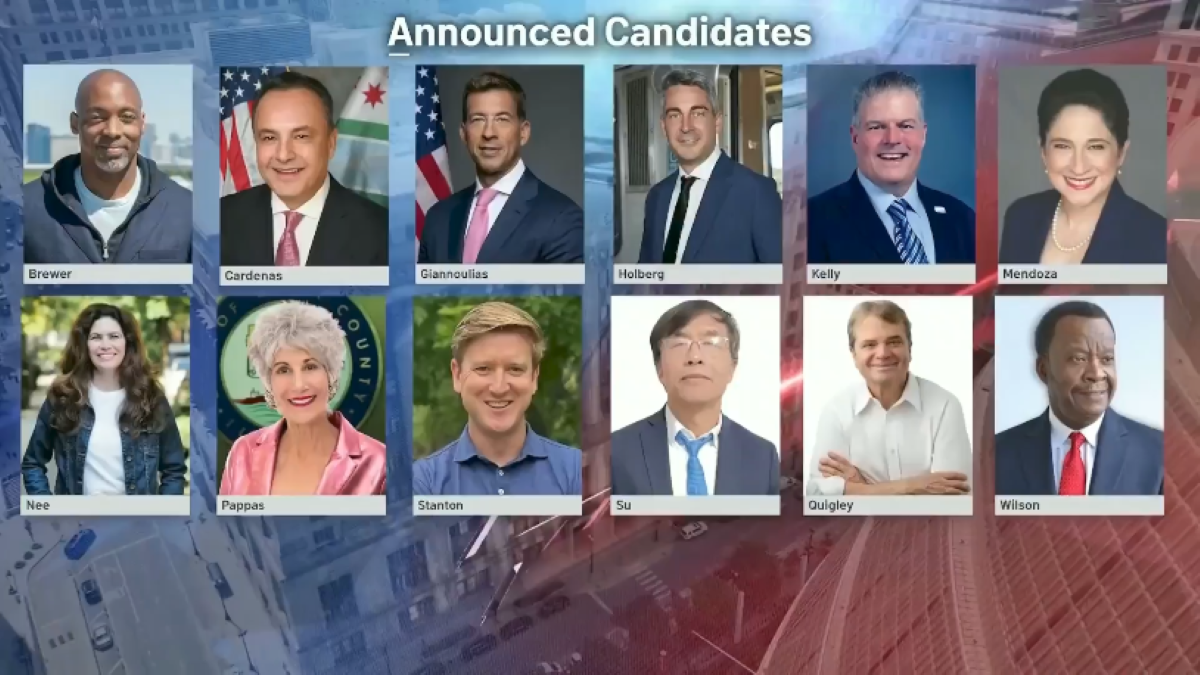 Who is running for Chicago mayor? What to know after Giannoulias announcement Who is running for Chicago mayor? What to know after Giannoulias announcement