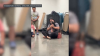 Dog missing for 12 years reunited with suburban family in incredible scene