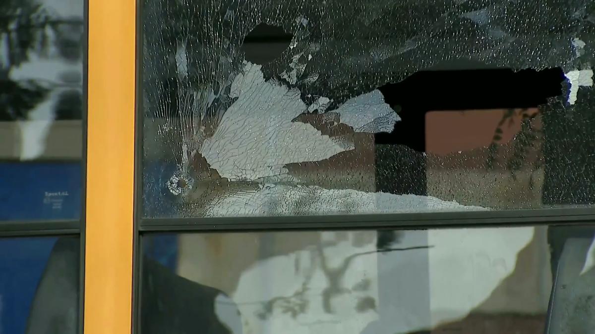 Chicago Public Schools aid charged after boy, 12, finds and fires gun left on bus