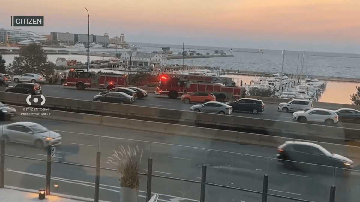 Suburban woman dies after being pulled from Lake Michigan near Grant Park