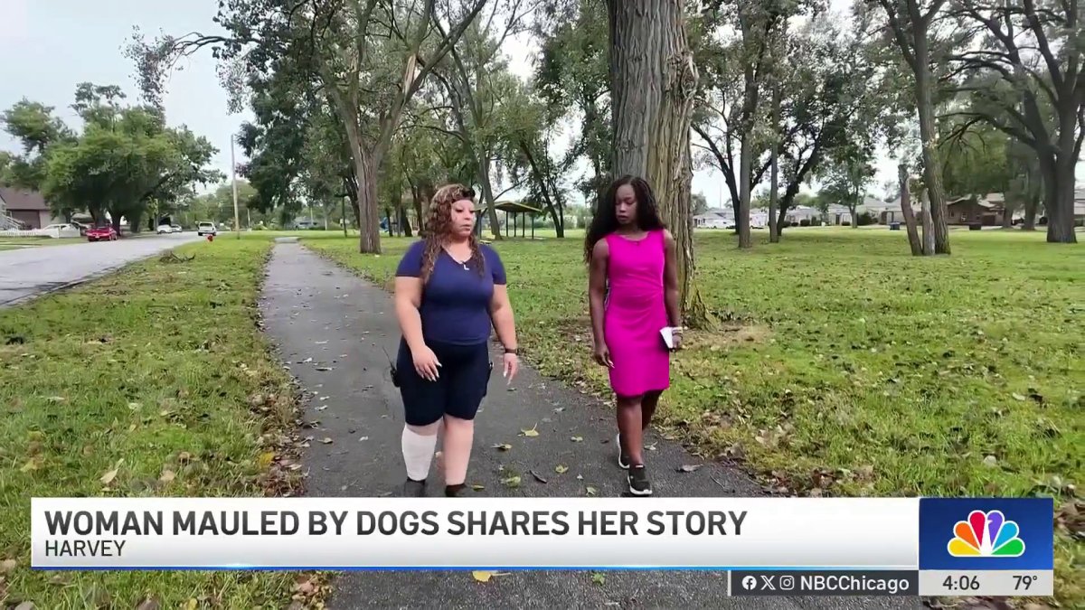 Woman mauled by stray dogs: 'Harvey needs to do better"
