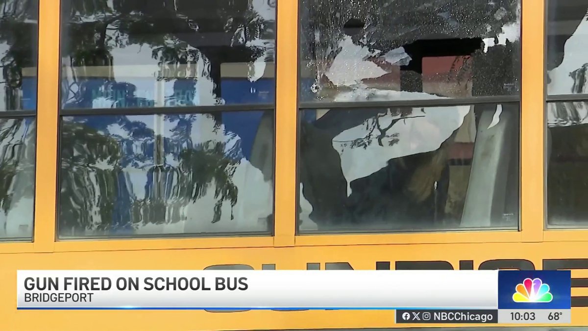 Questions raised after 12-year-old fires shot through school bus window