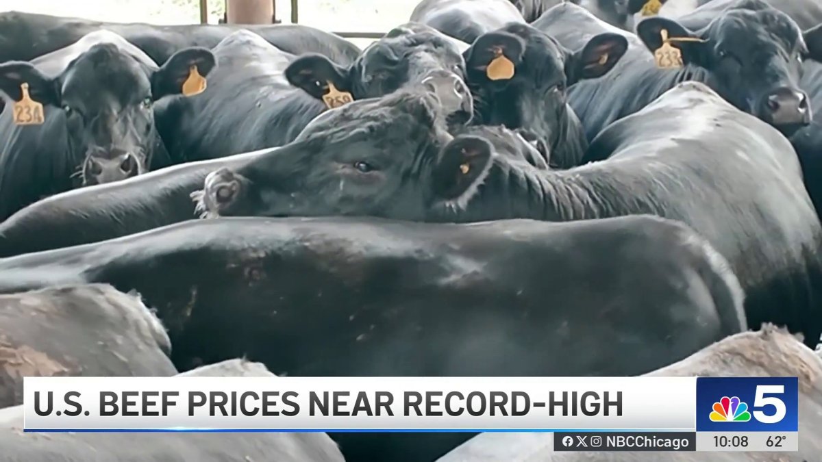 Will foreign beef lower burger prices? Agricultural economist weighs in