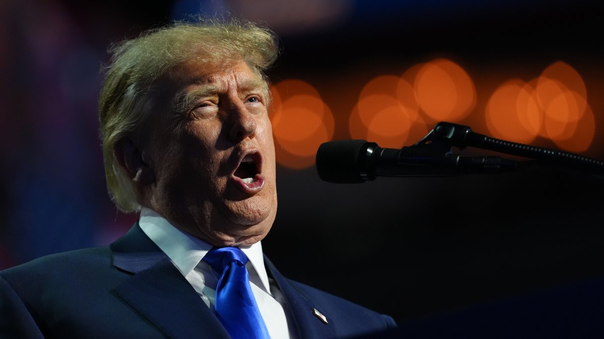 Trumps $5,000 &lsquo;dividend offer sparks intense criticism, questions of legality