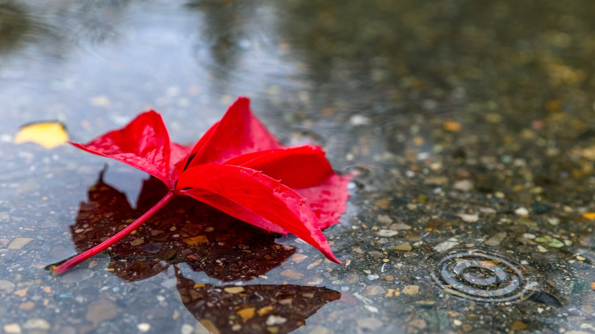 When will the rain stop? What to expect in the coming days in the Chicago area