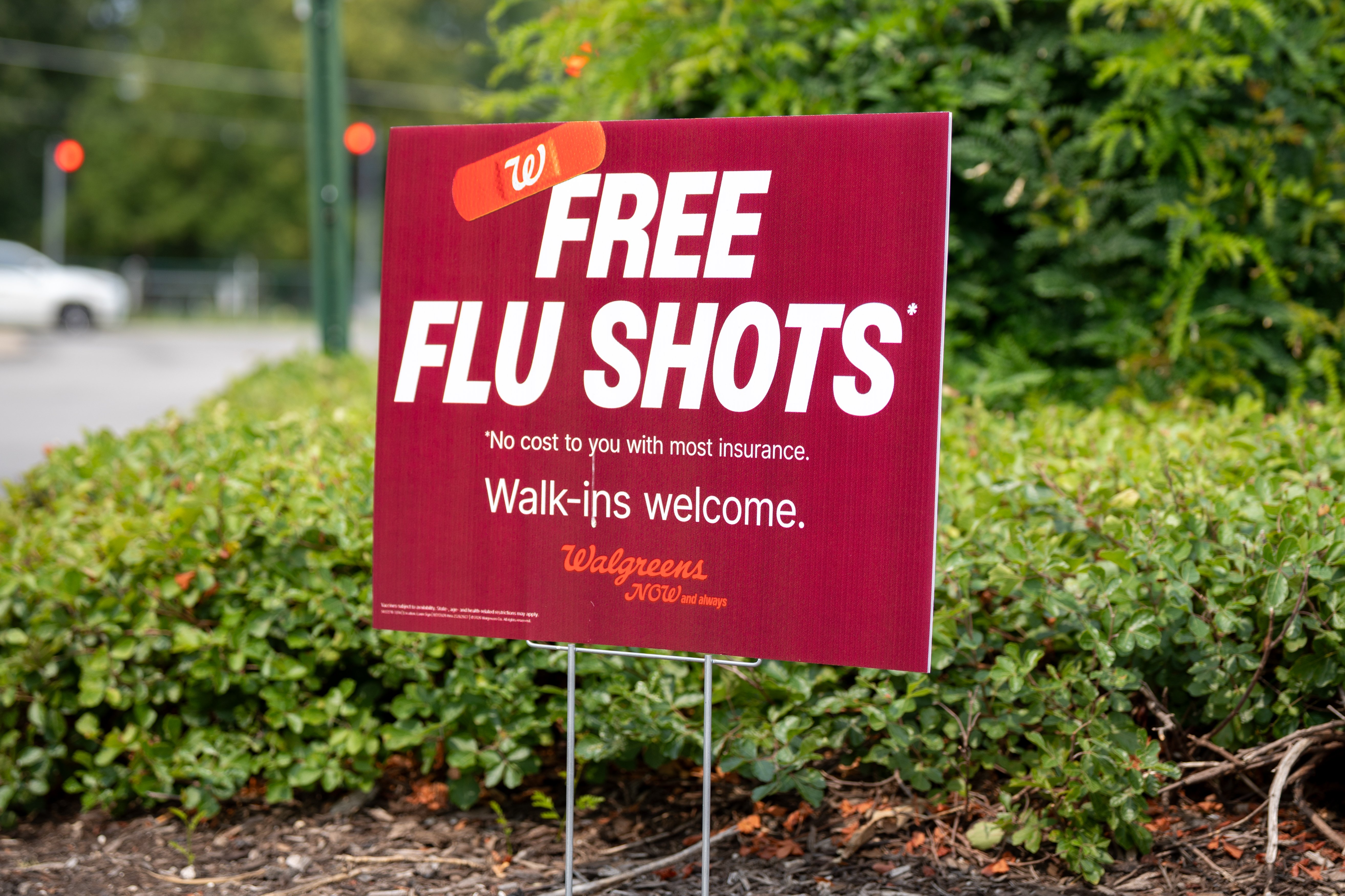 Fall vaccines: Latest Covid, flu RSV vaccine recommendations as some cases rise