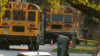 Suburban school district releases statement after elementary student struck, killed by school bus