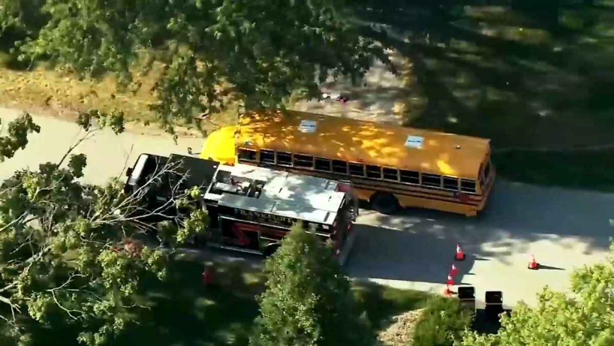 6-year-old struck, killed in school bus crash in south suburbs ID'd by authorities