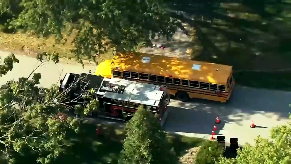 6-year-old struck, killed in school bus crash in south suburbs ID'd by authorities