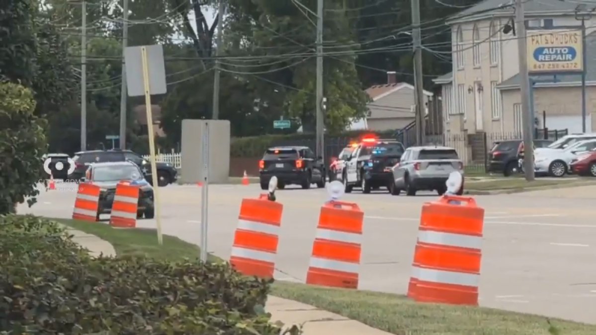 Residents asked to avoid parts of suburban Des Plaines amid investigation