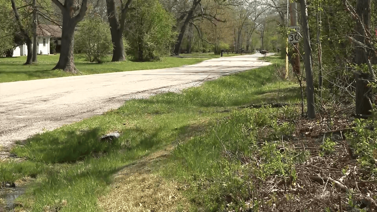 Record $25,000 reward offered in killing of 6 dogs in Crete Township