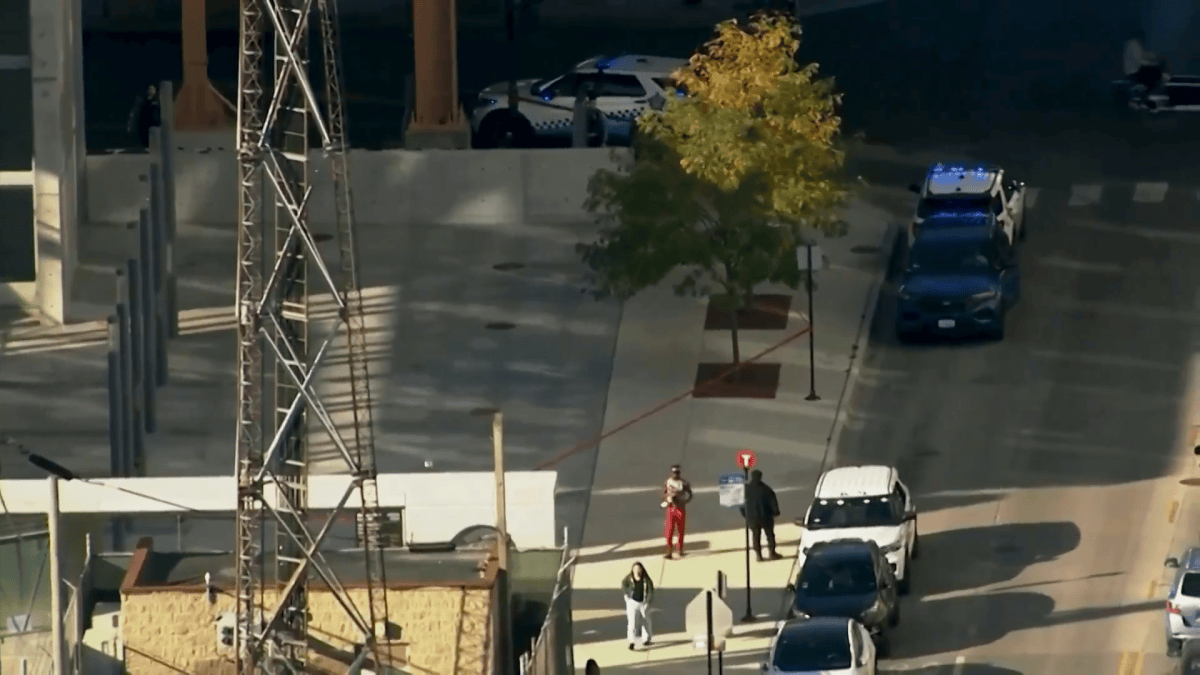 Arrest made in CTA janitor's fatal stabbing at Damen Green Line station