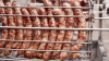 The art of beer brats is alive and well for one suburban butcher