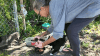 Retired police officer dedicated to helping stray animals in the south suburbs