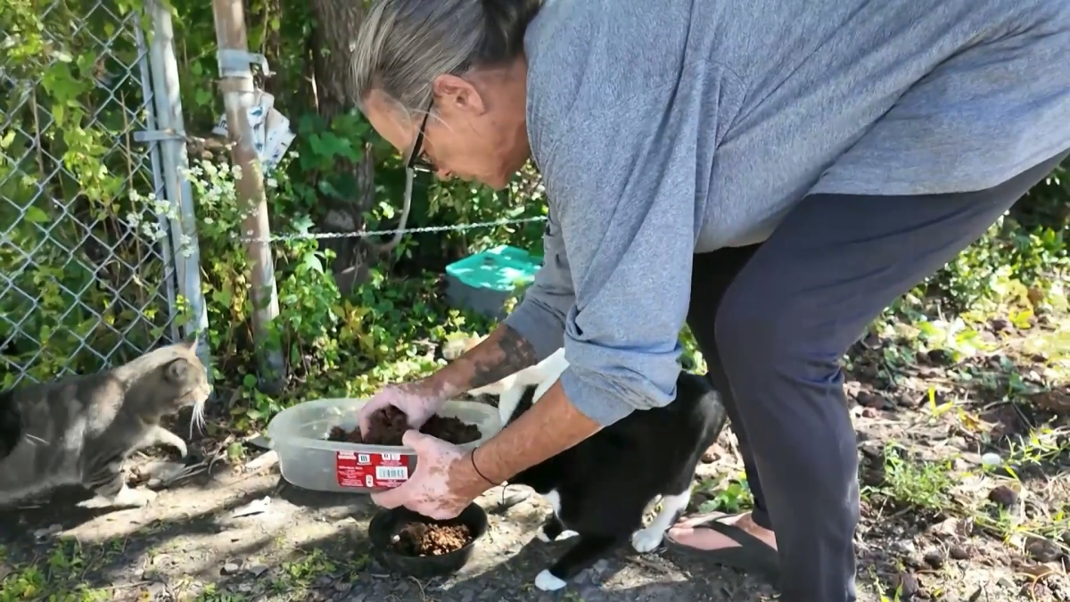 Retired police officer dedicated to helping stray animals in the south suburbs