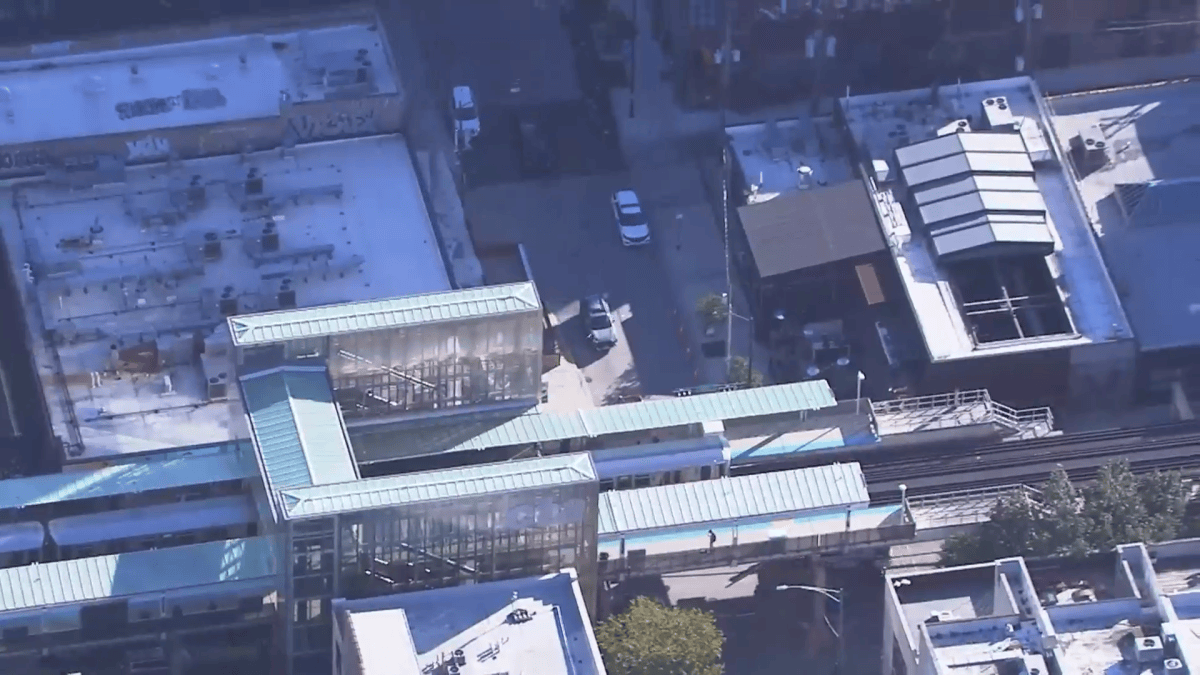 Man critically injured after falling off CTA platform, being struck by train