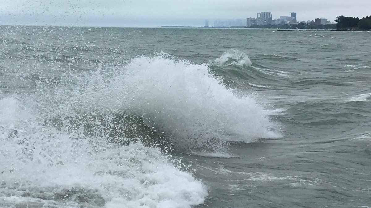 Suburban college student dies after body pulled from Lake Michigan: Police