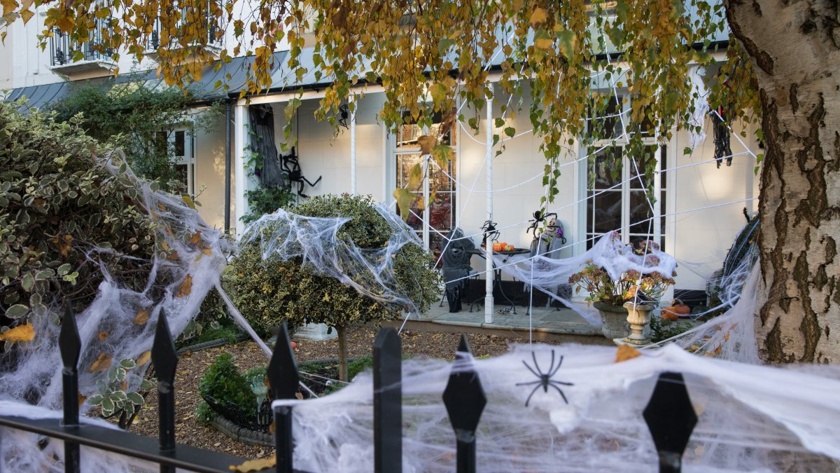 Fake spiderweb Halloween decorations can be as harmful as they are spooky. Here's why