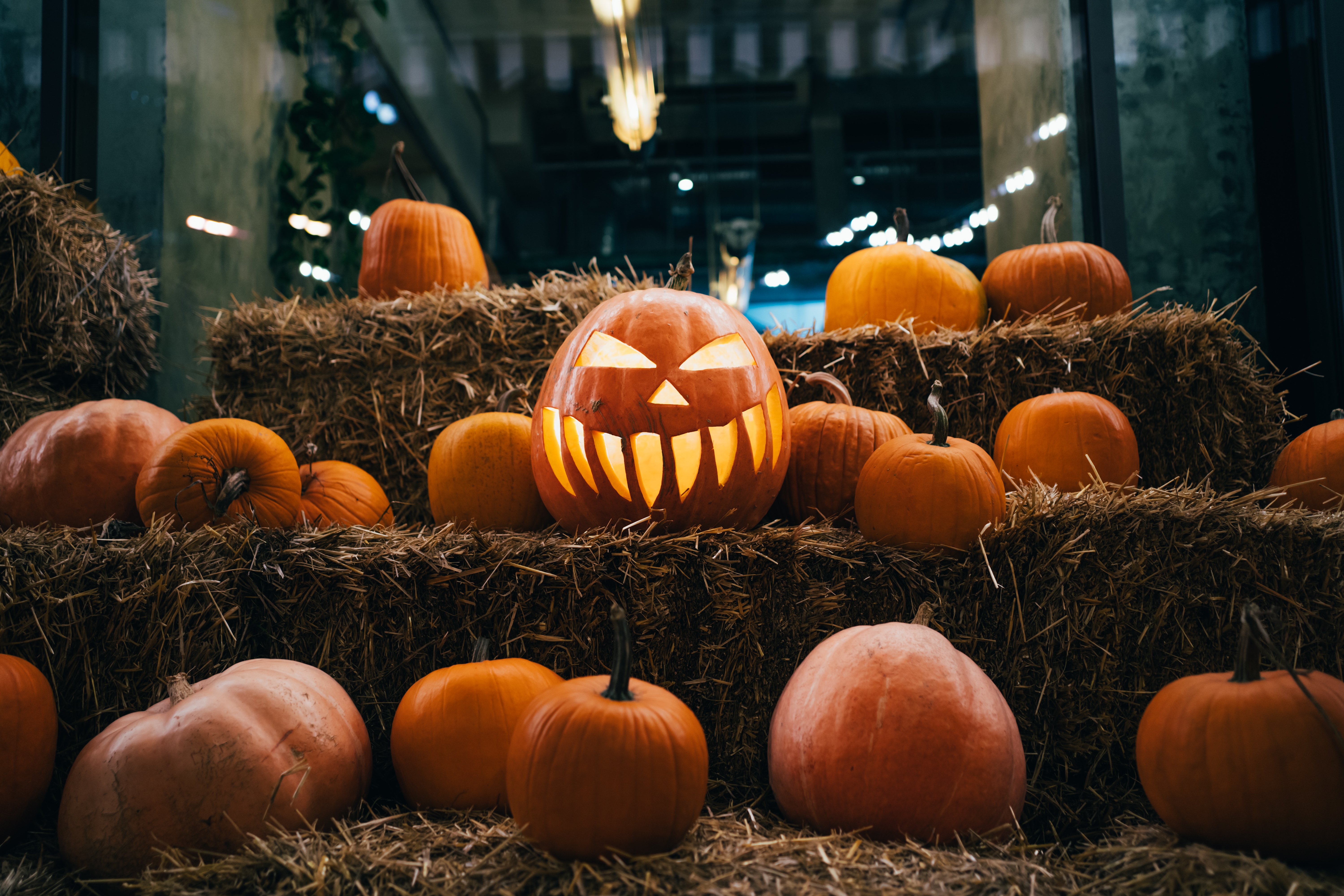 An early look at the Halloween forecast for the Chicago area: See the latest weather outlook