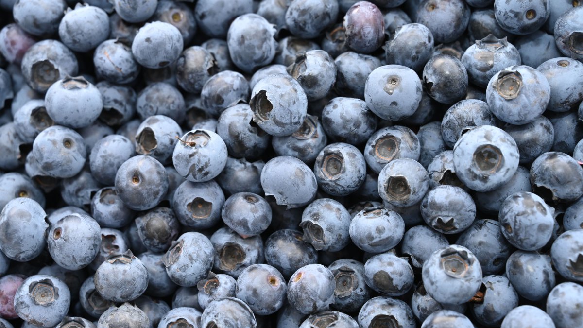Frozen berry recall linked to E. coli outbreak expands to Walmart, Trader Joes in dozens of states