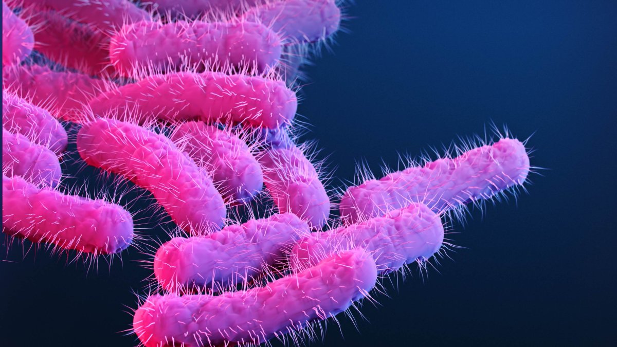 These 19 drug-resistant germs are &lsquo;urgent and &lsquo;serious threats to US, new CDC report says