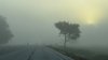 Dense fog advisory issued for parts of Chicago area with with near-zero visibility on roads