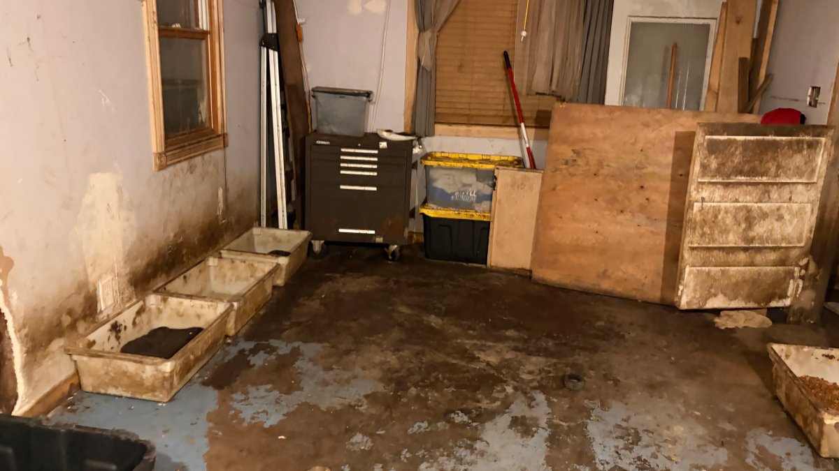More than 70 dogs rescued from filthy suburban home, owner facing charges
