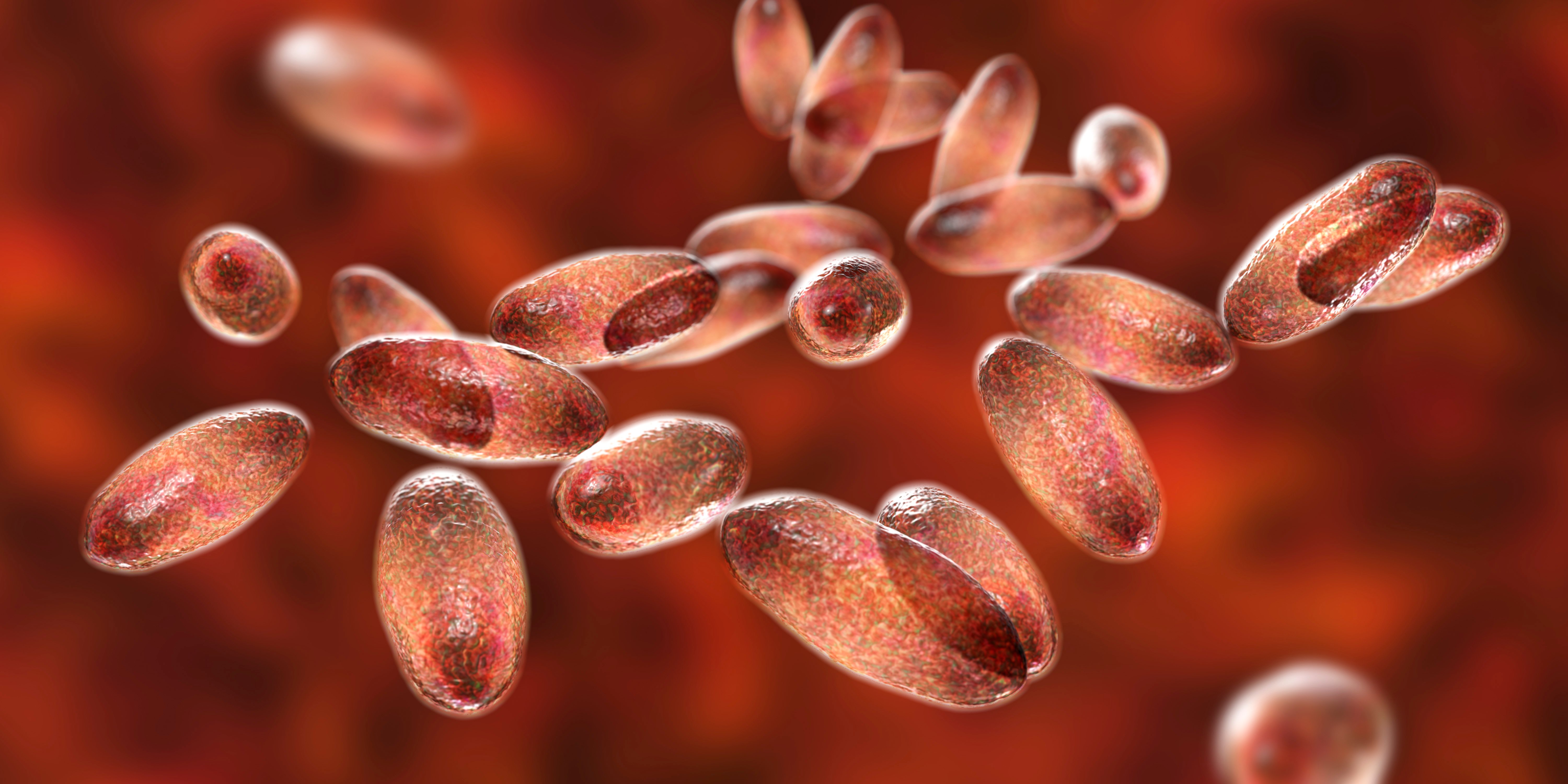 Russian lab worker dies of suspected plague as 200 enter medical observation
