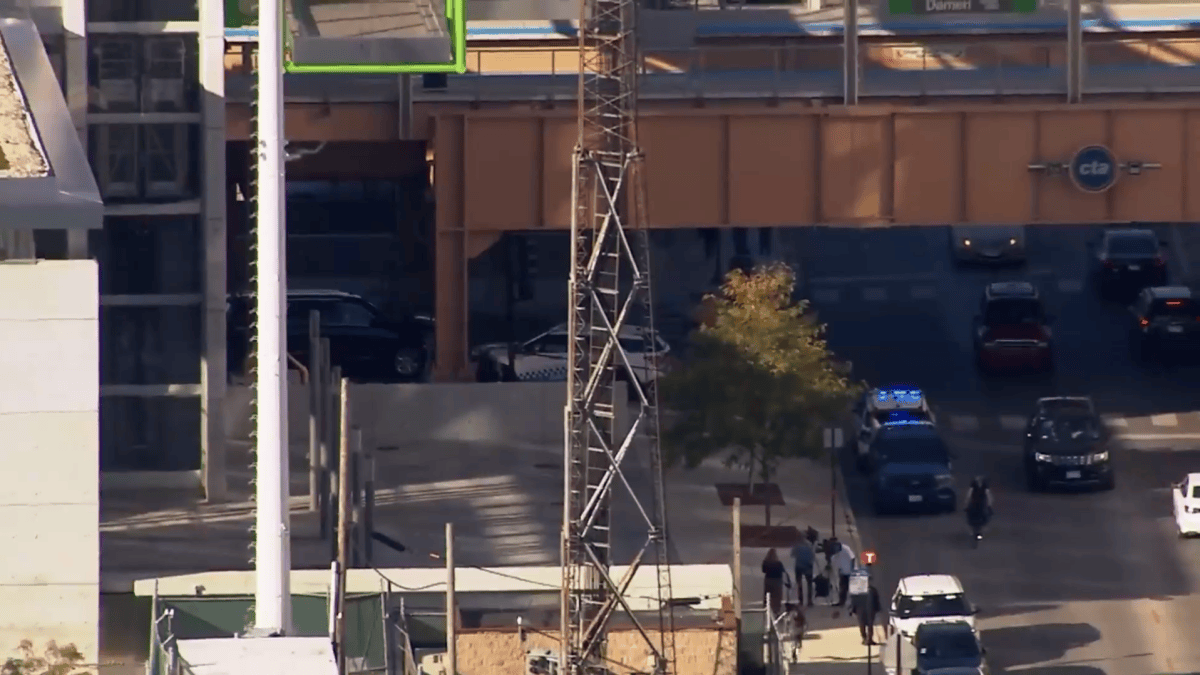 Chicago Transit Authority worker &lsquo;severely wounded in stabbing at Damen/Lake station